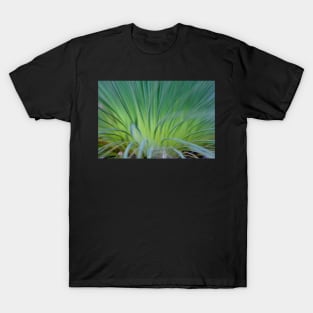 Soft Grass Tree T-Shirt